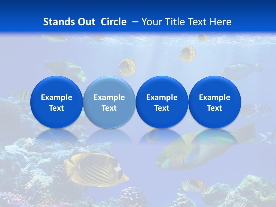 A Group Of Fish Swimming Over A Coral Reef PowerPoint Template