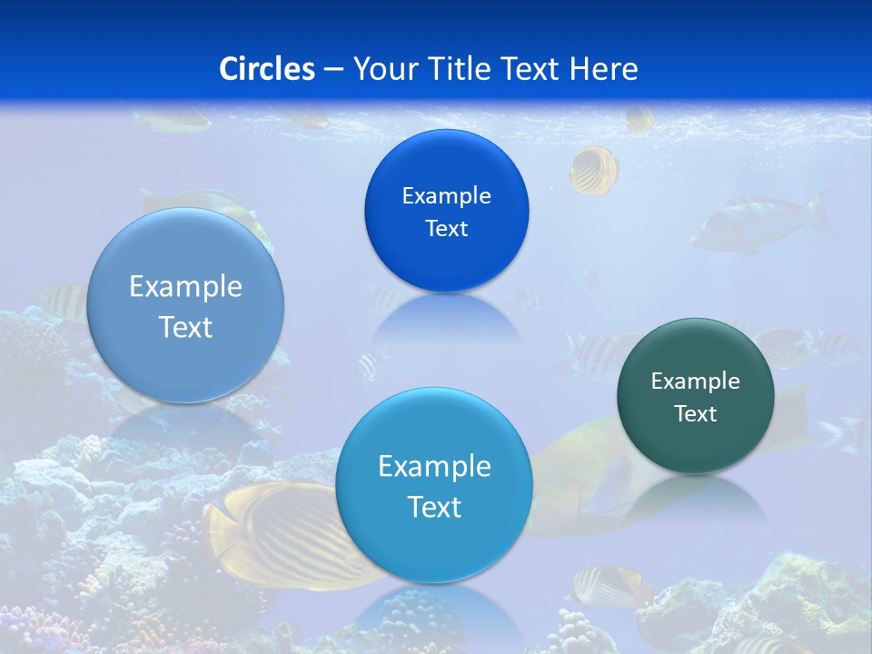 A Group Of Fish Swimming Over A Coral Reef PowerPoint Template