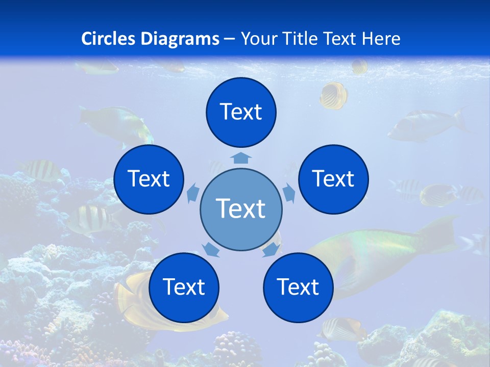 A Group Of Fish Swimming Over A Coral Reef PowerPoint Template