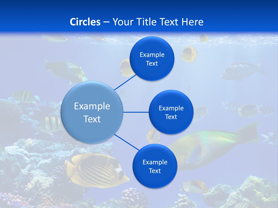 A Group Of Fish Swimming Over A Coral Reef PowerPoint Template