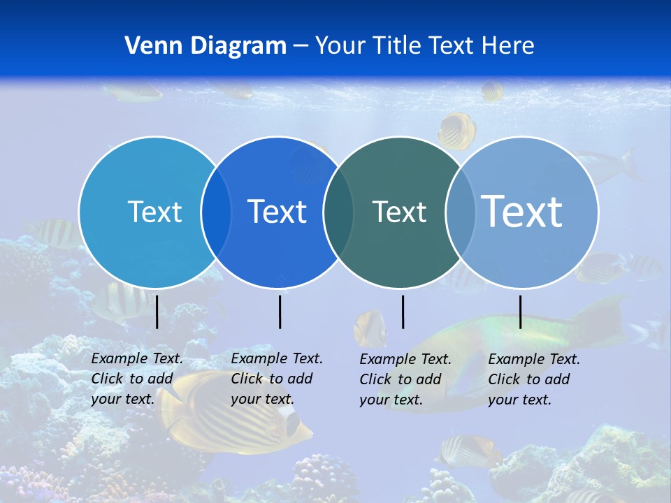 A Group Of Fish Swimming Over A Coral Reef PowerPoint Template