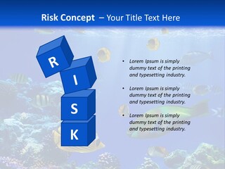 A Group Of Fish Swimming Over A Coral Reef PowerPoint Template