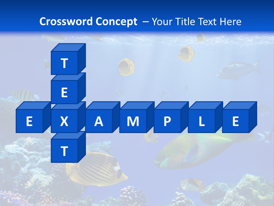 A Group Of Fish Swimming Over A Coral Reef PowerPoint Template