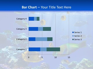A Group Of Fish Swimming Over A Coral Reef PowerPoint Template