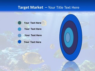 A Group Of Fish Swimming Over A Coral Reef PowerPoint Template