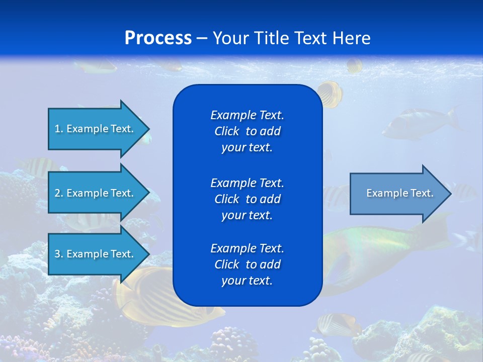 A Group Of Fish Swimming Over A Coral Reef PowerPoint Template