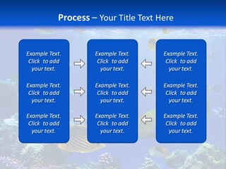 A Group Of Fish Swimming Over A Coral Reef PowerPoint Template