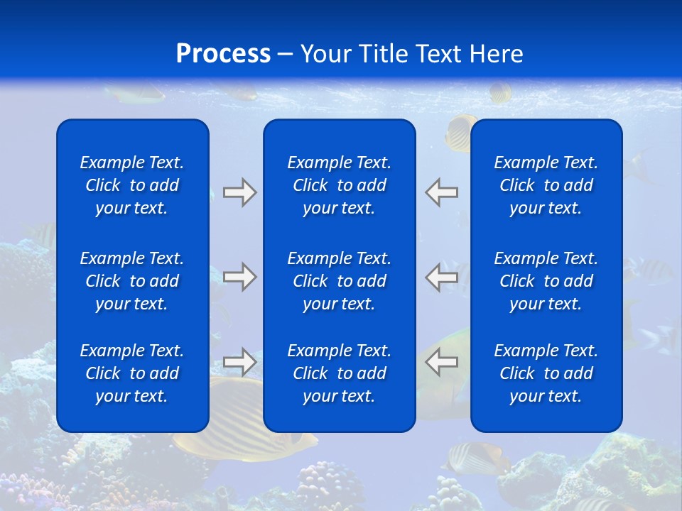 A Group Of Fish Swimming Over A Coral Reef PowerPoint Template