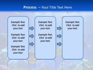 A Group Of Fish Swimming Over A Coral Reef PowerPoint Template