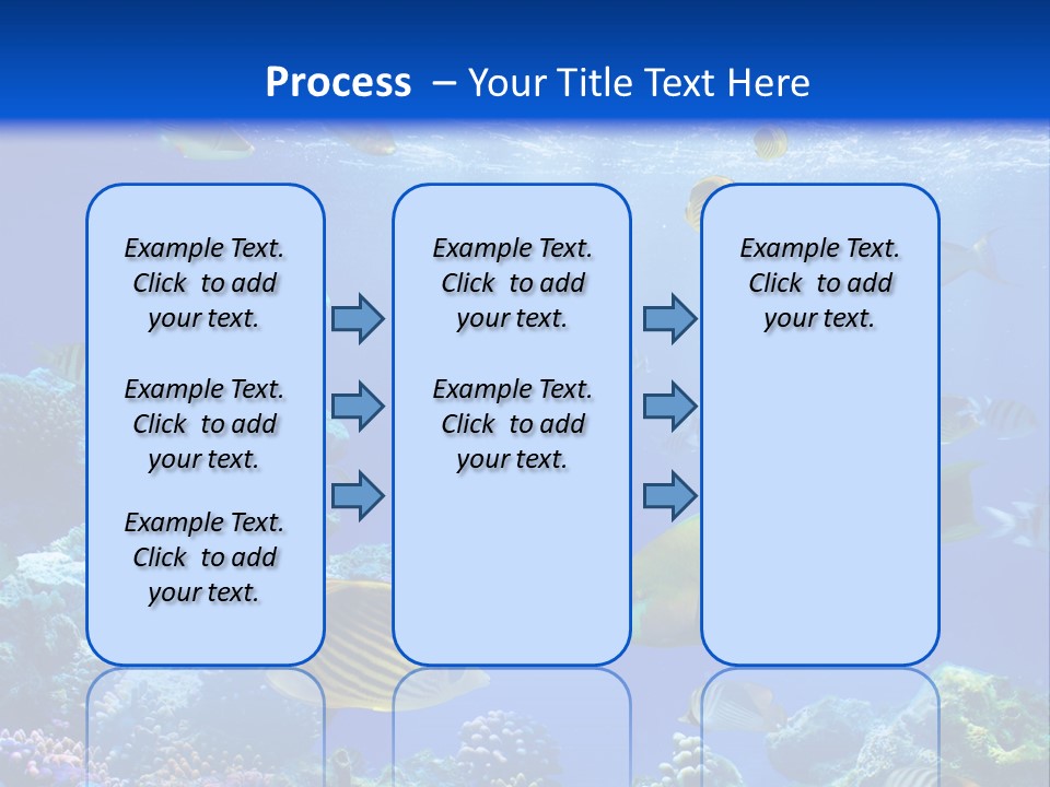 A Group Of Fish Swimming Over A Coral Reef PowerPoint Template