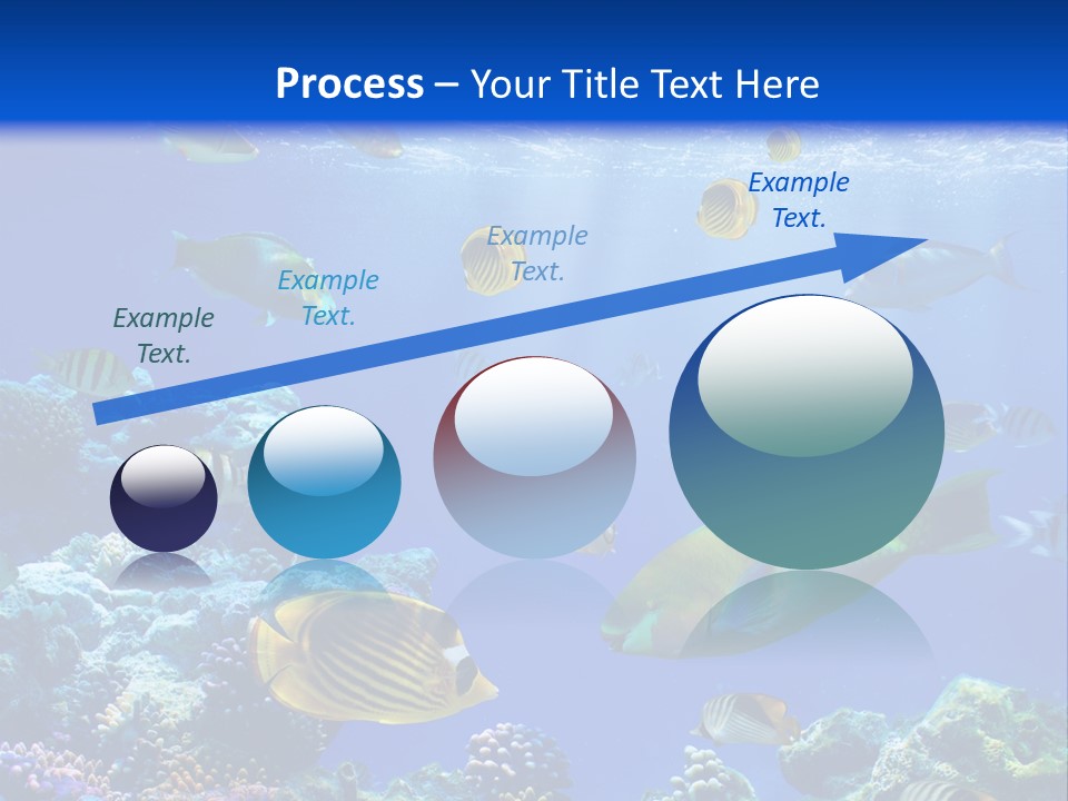 A Group Of Fish Swimming Over A Coral Reef PowerPoint Template