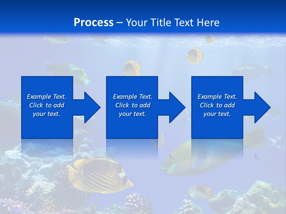A Group Of Fish Swimming Over A Coral Reef PowerPoint Template