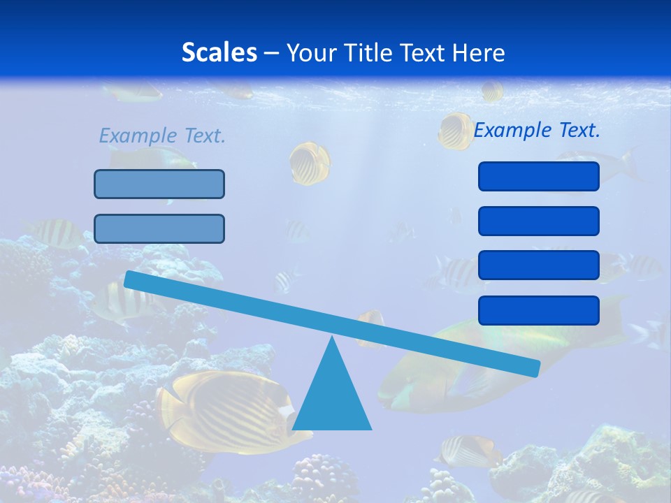 A Group Of Fish Swimming Over A Coral Reef PowerPoint Template