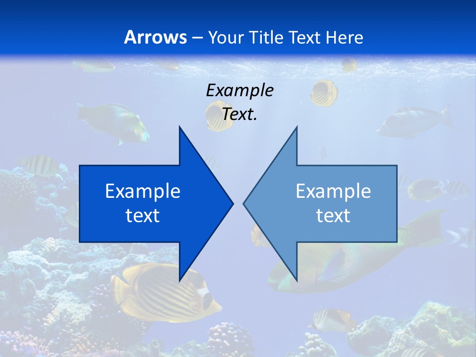 A Group Of Fish Swimming Over A Coral Reef PowerPoint Template