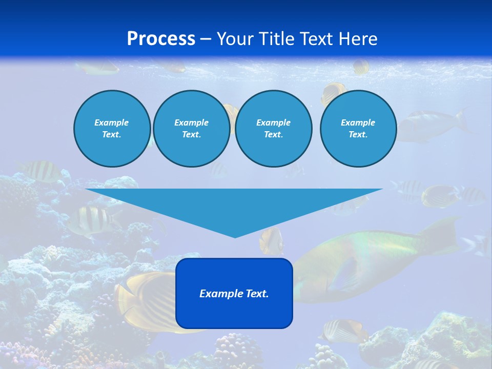 A Group Of Fish Swimming Over A Coral Reef PowerPoint Template