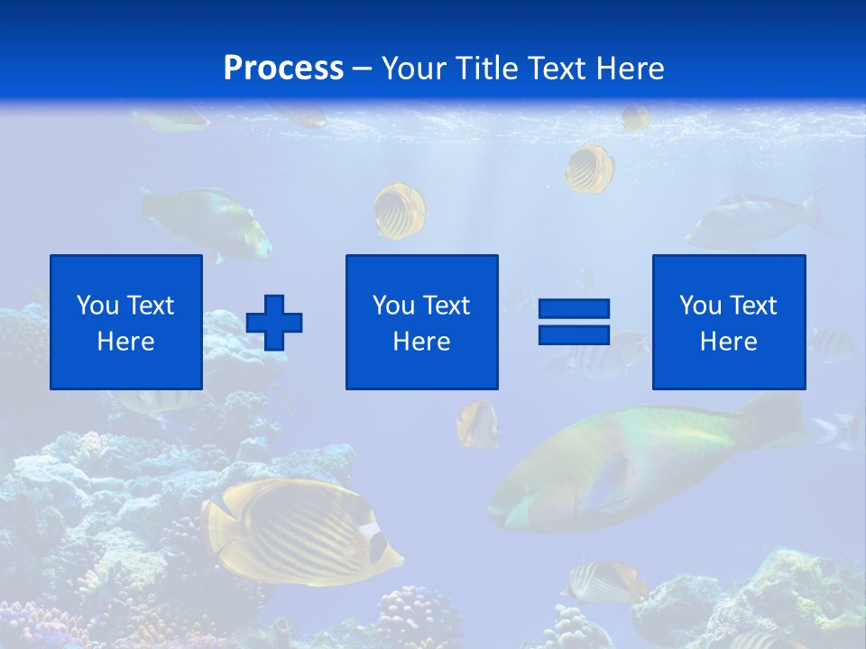 A Group Of Fish Swimming Over A Coral Reef PowerPoint Template