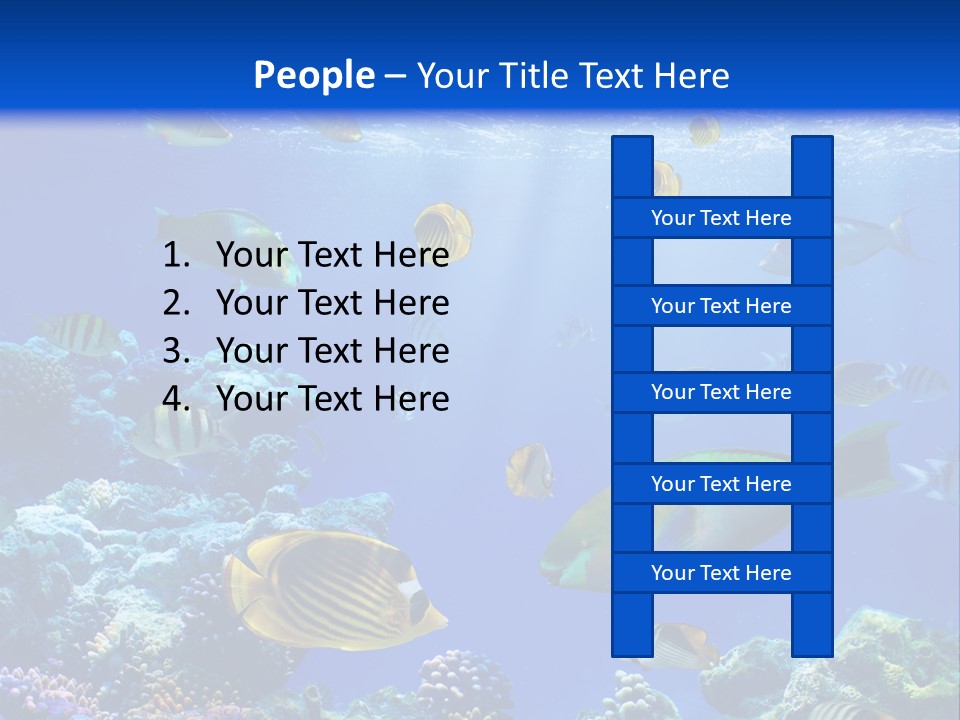 A Group Of Fish Swimming Over A Coral Reef PowerPoint Template