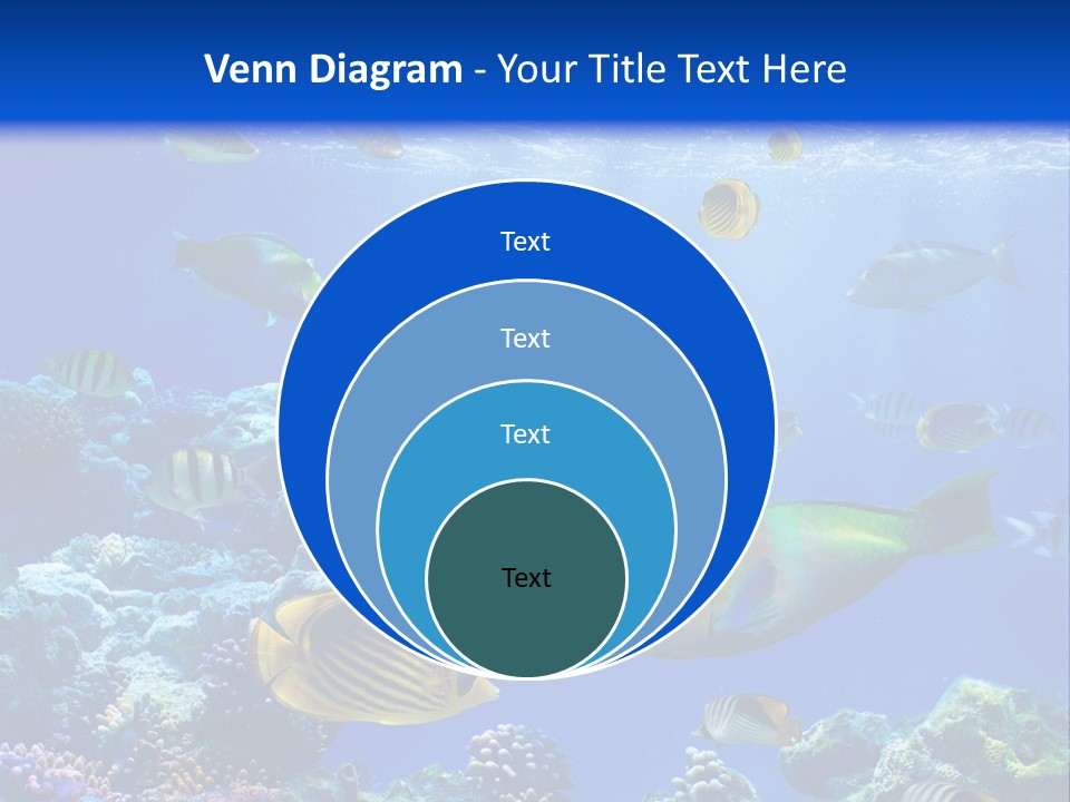 A Group Of Fish Swimming Over A Coral Reef PowerPoint Template