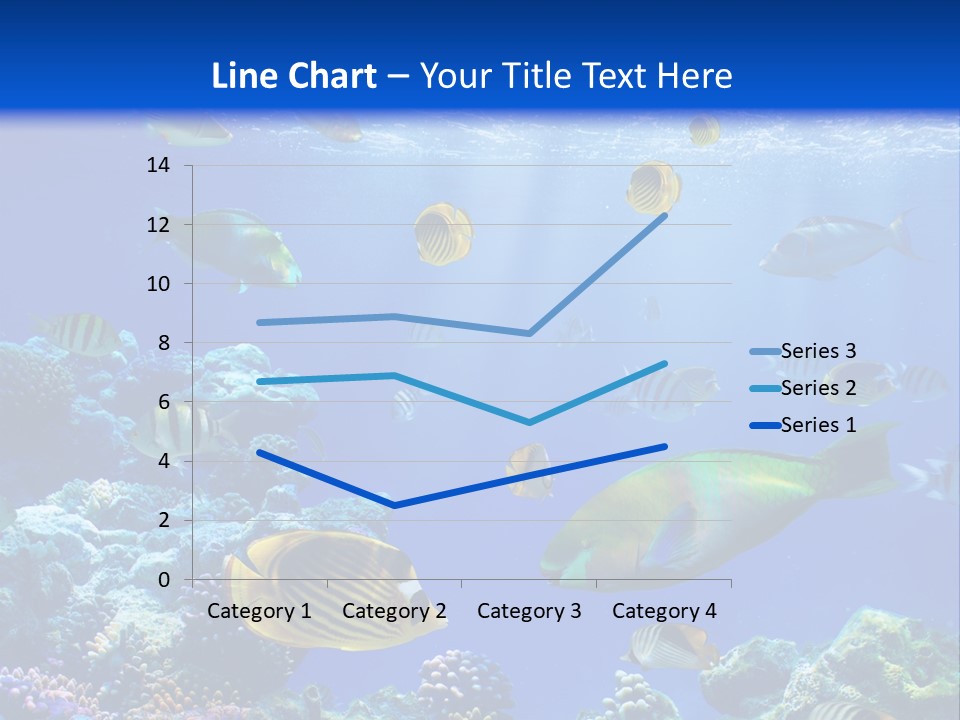 A Group Of Fish Swimming Over A Coral Reef PowerPoint Template