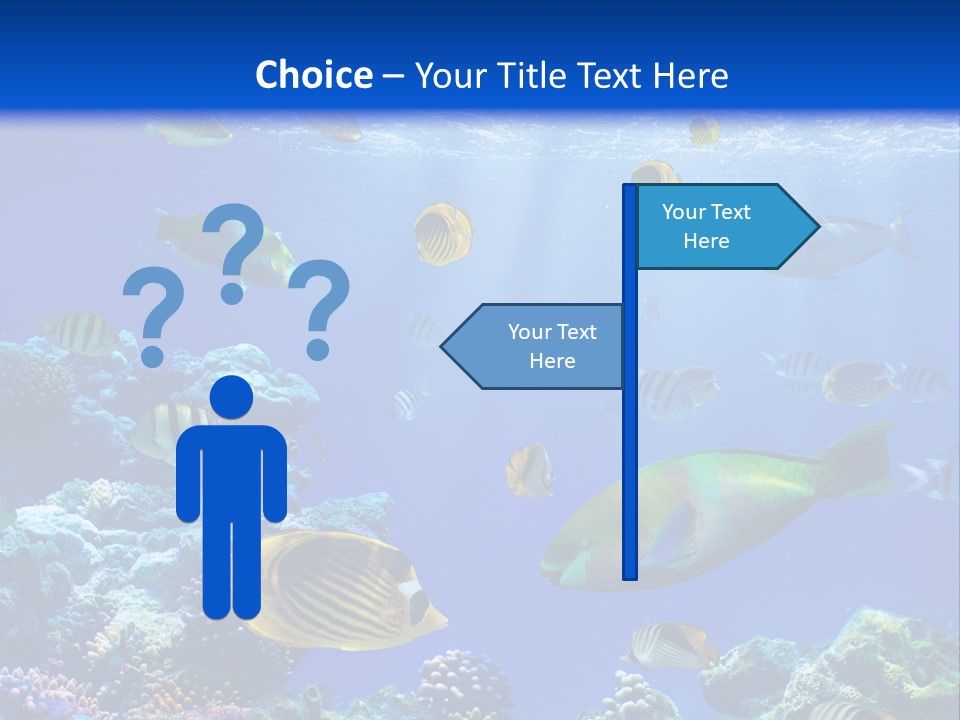 A Group Of Fish Swimming Over A Coral Reef PowerPoint Template