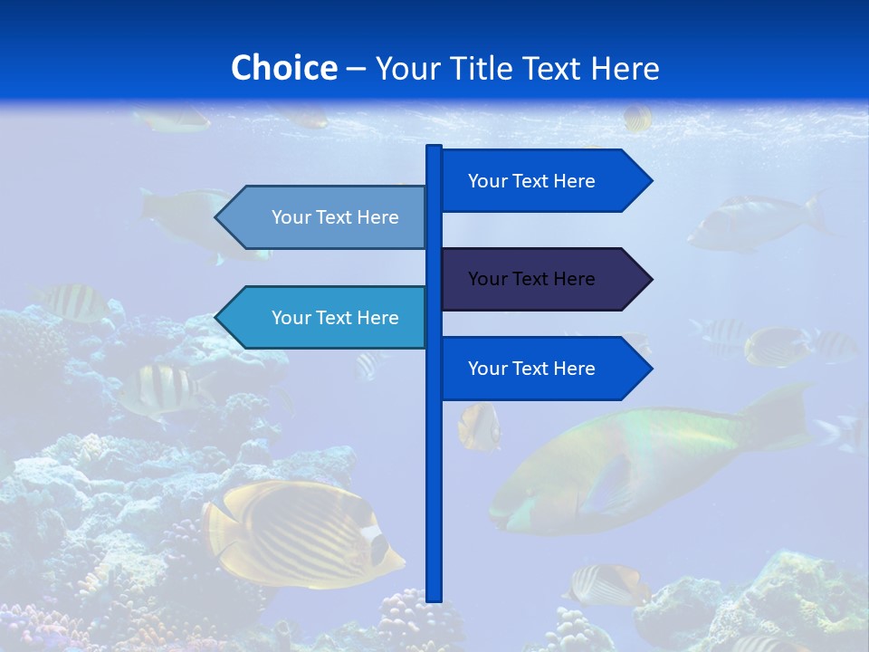 A Group Of Fish Swimming Over A Coral Reef PowerPoint Template