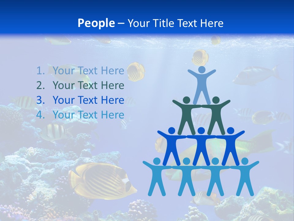 A Group Of Fish Swimming Over A Coral Reef PowerPoint Template