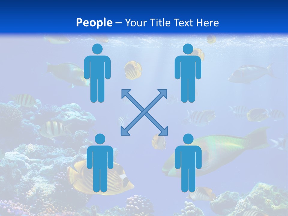 A Group Of Fish Swimming Over A Coral Reef PowerPoint Template