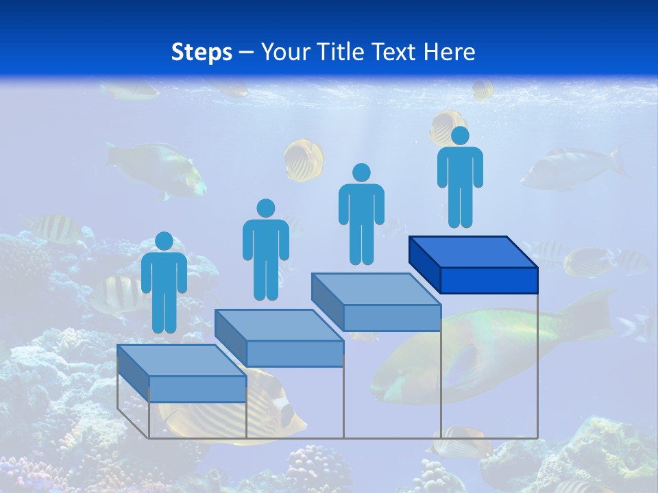 A Group Of Fish Swimming Over A Coral Reef PowerPoint Template