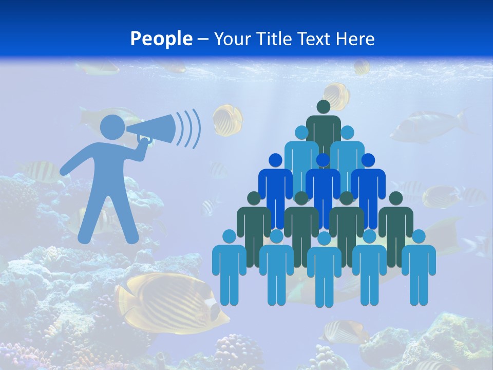 A Group Of Fish Swimming Over A Coral Reef PowerPoint Template