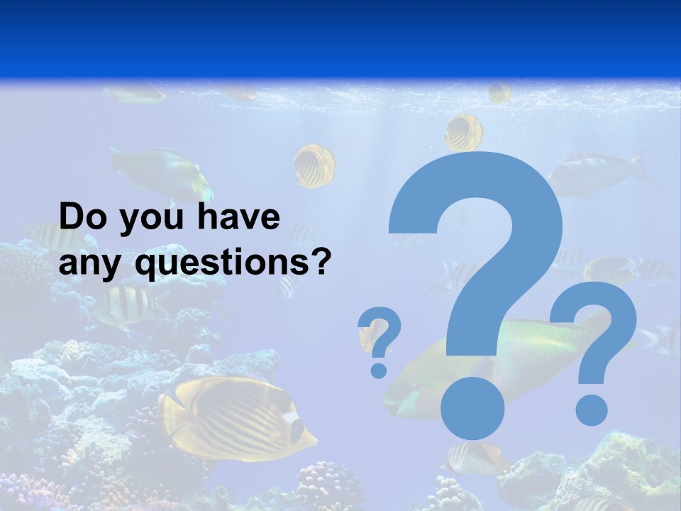 A Group Of Fish Swimming Over A Coral Reef PowerPoint Template