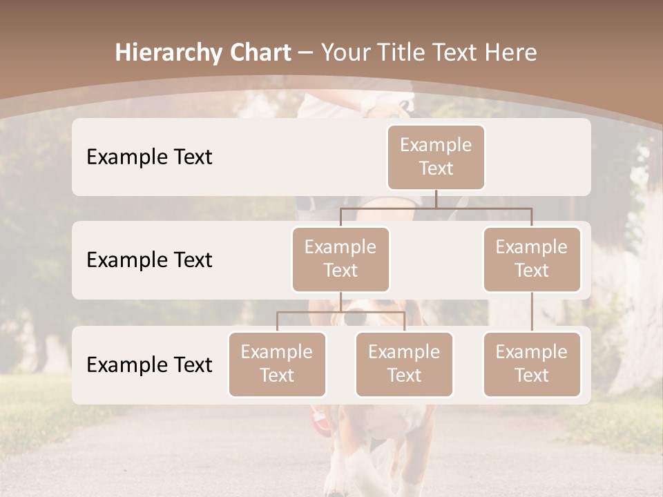 A Woman Running With A Dog On A Leash PowerPoint Template