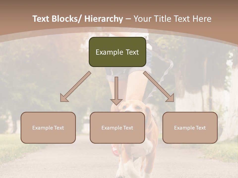 A Woman Running With A Dog On A Leash PowerPoint Template