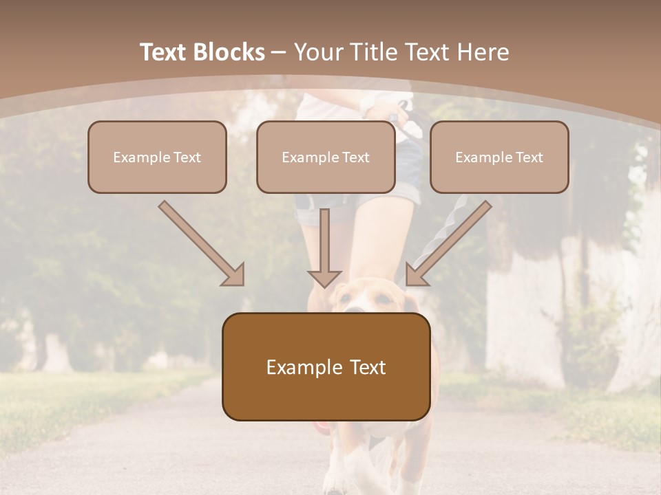 A Woman Running With A Dog On A Leash PowerPoint Template