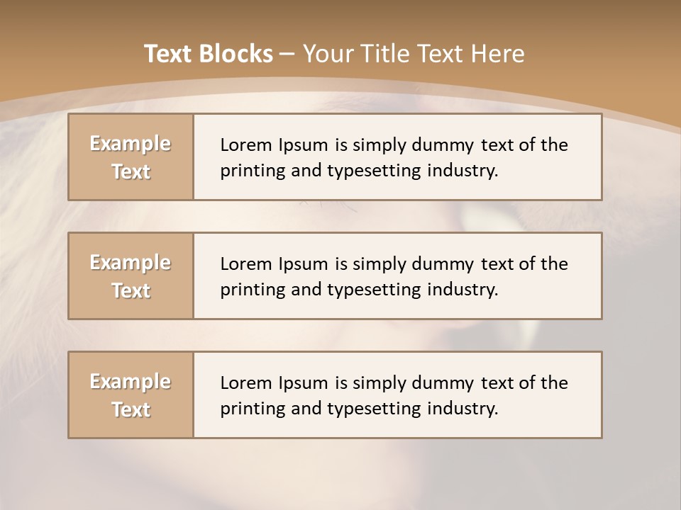 A Man And A Woman Are Looking At Each Other PowerPoint Template
