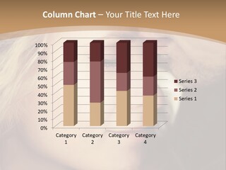 A Man And A Woman Are Looking At Each Other PowerPoint Template