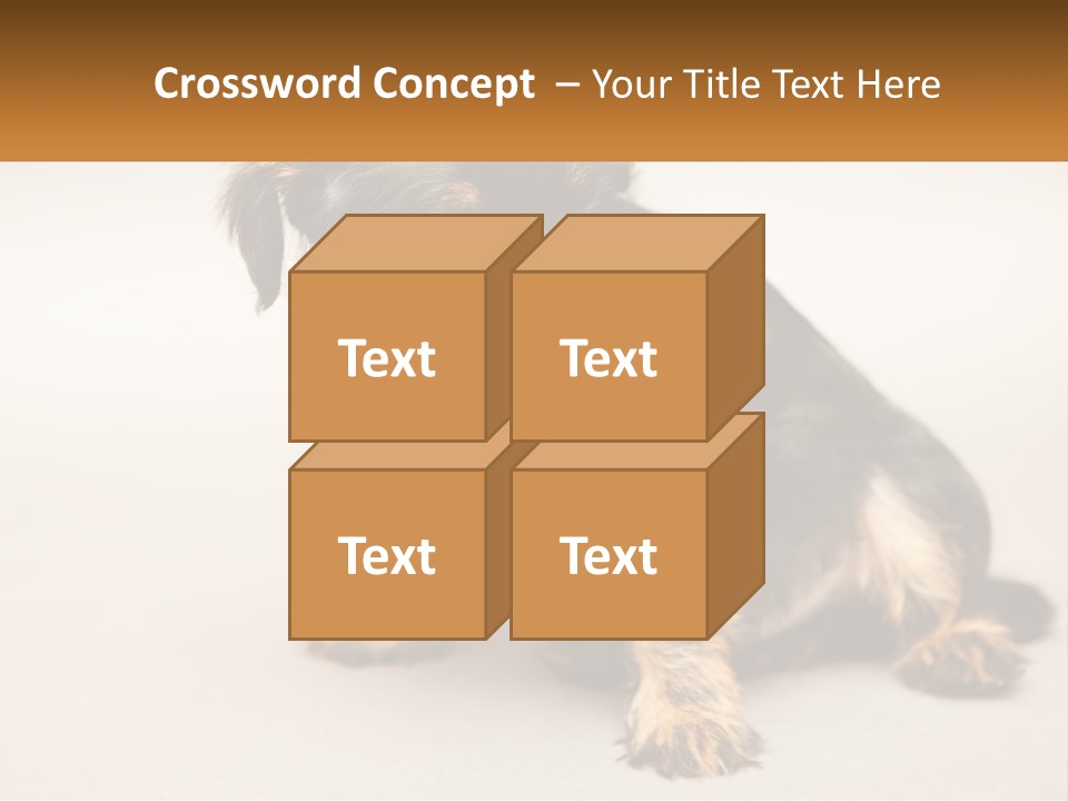 A Small Black And Brown Dog Sitting On Top Of A White Floor PowerPoint Template