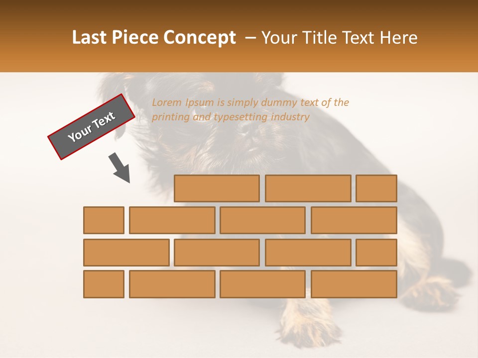 A Small Black And Brown Dog Sitting On Top Of A White Floor PowerPoint Template