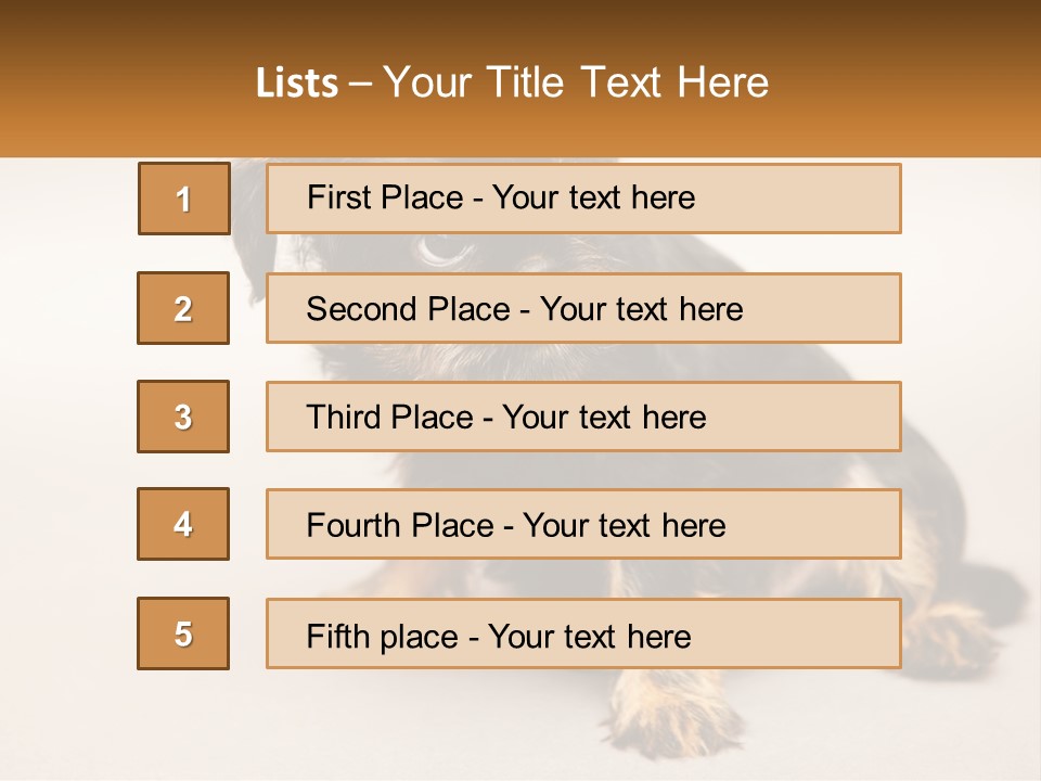 A Small Black And Brown Dog Sitting On Top Of A White Floor PowerPoint Template