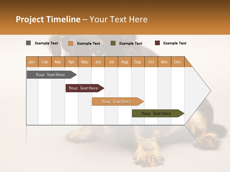 A Small Black And Brown Dog Sitting On Top Of A White Floor PowerPoint Template