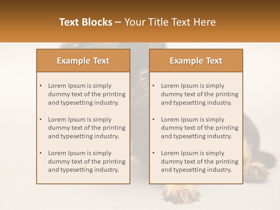 A Small Black And Brown Dog Sitting On Top Of A White Floor PowerPoint Template