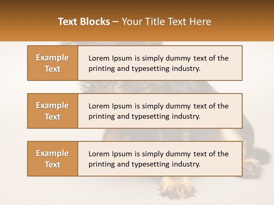 A Small Black And Brown Dog Sitting On Top Of A White Floor PowerPoint Template
