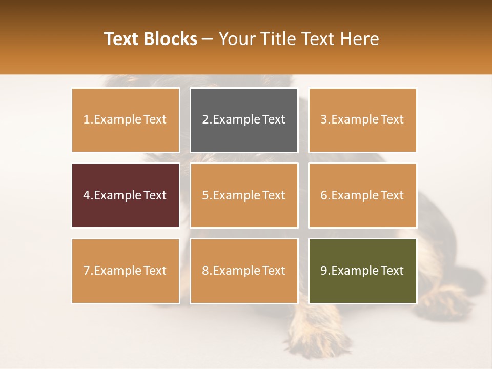 A Small Black And Brown Dog Sitting On Top Of A White Floor PowerPoint Template