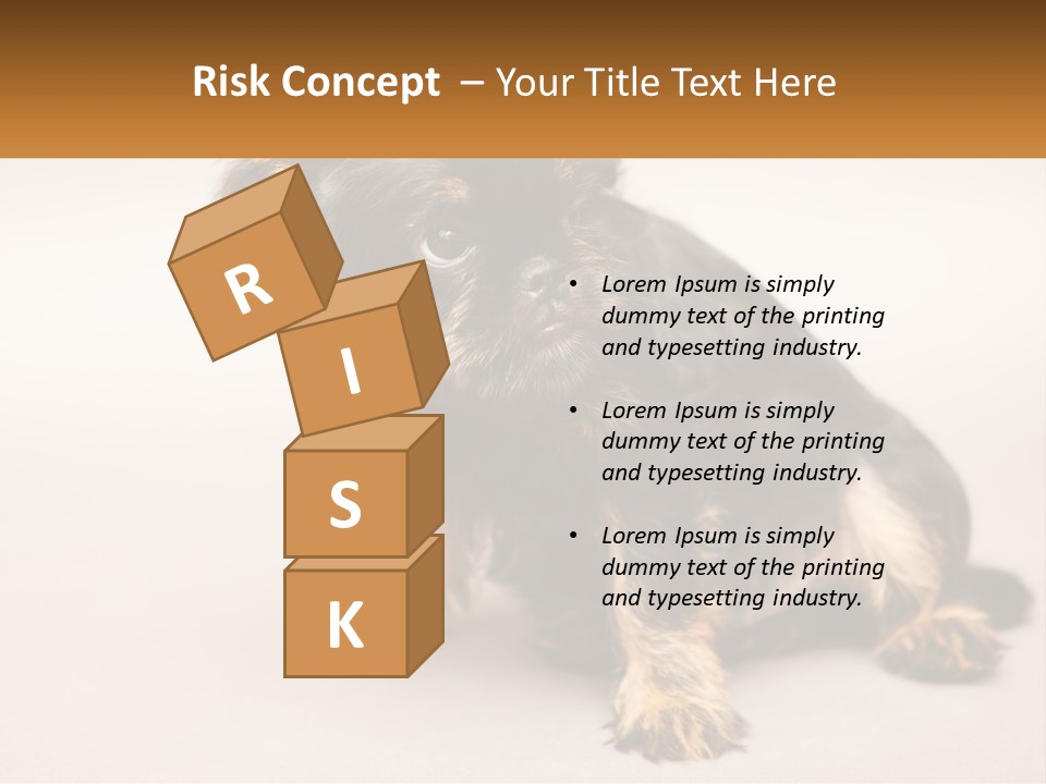 A Small Black And Brown Dog Sitting On Top Of A White Floor PowerPoint Template