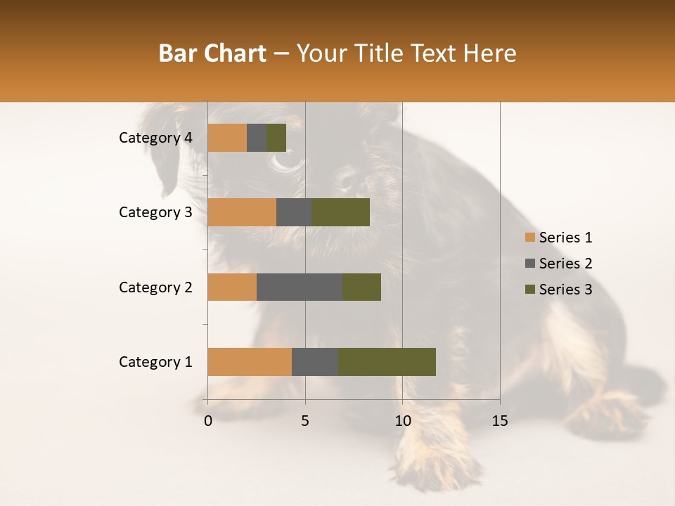 A Small Black And Brown Dog Sitting On Top Of A White Floor PowerPoint Template