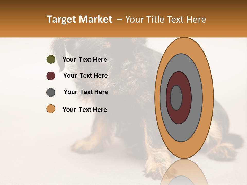 A Small Black And Brown Dog Sitting On Top Of A White Floor PowerPoint Template