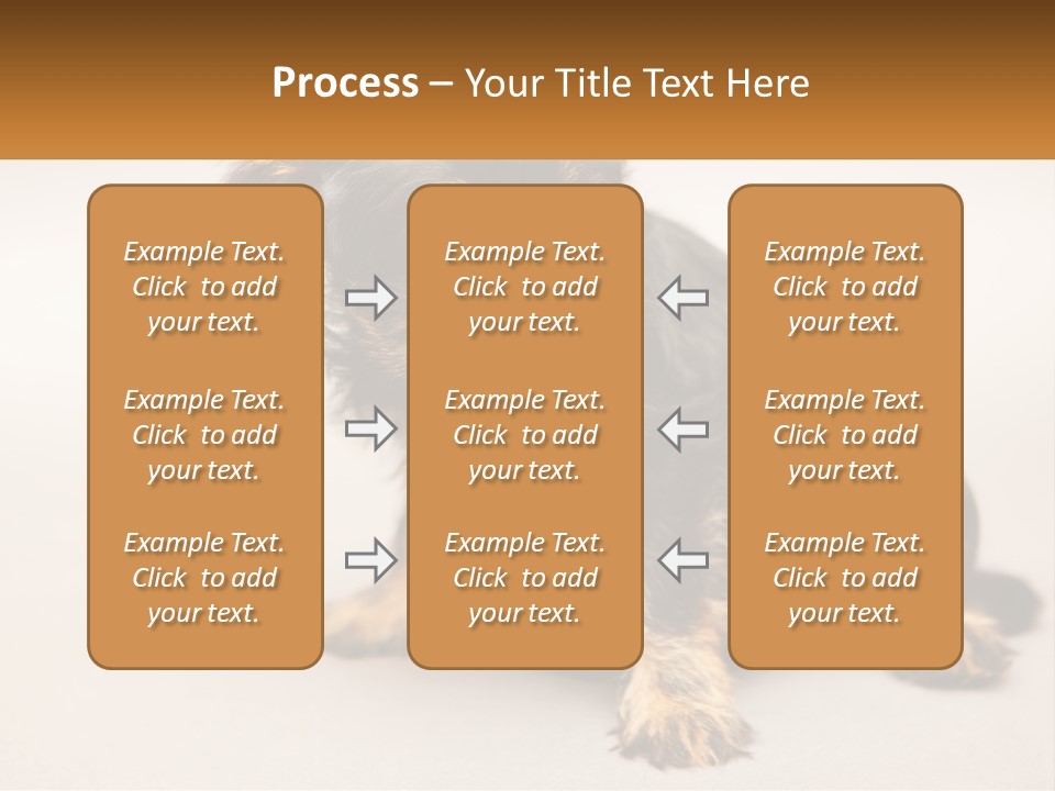 A Small Black And Brown Dog Sitting On Top Of A White Floor PowerPoint Template