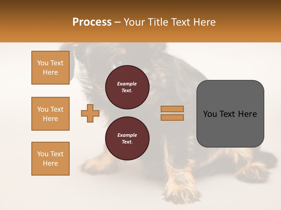A Small Black And Brown Dog Sitting On Top Of A White Floor PowerPoint Template