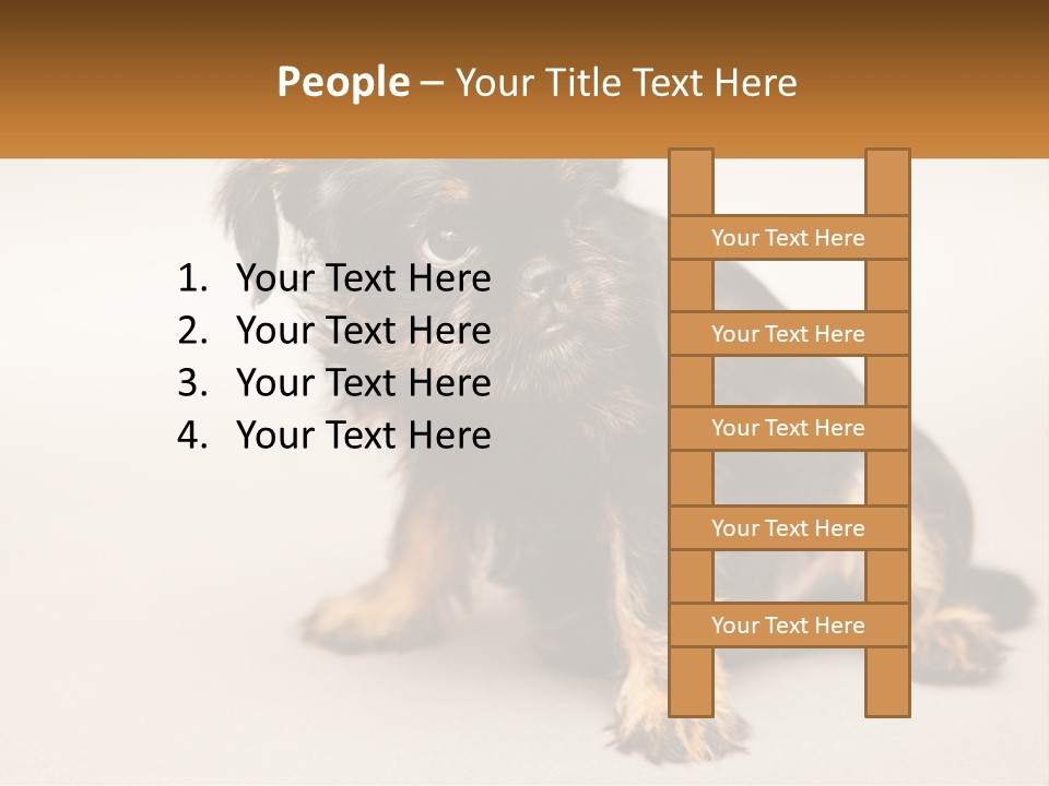 A Small Black And Brown Dog Sitting On Top Of A White Floor PowerPoint Template