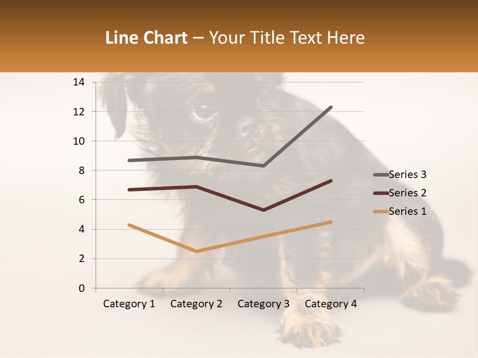 A Small Black And Brown Dog Sitting On Top Of A White Floor PowerPoint Template