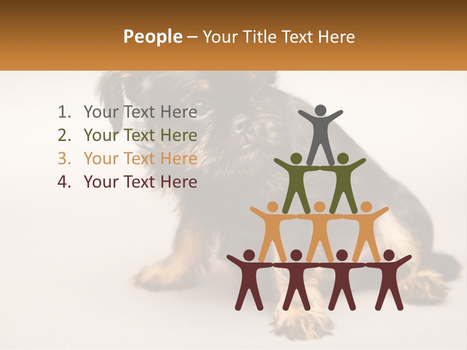 A Small Black And Brown Dog Sitting On Top Of A White Floor PowerPoint Template